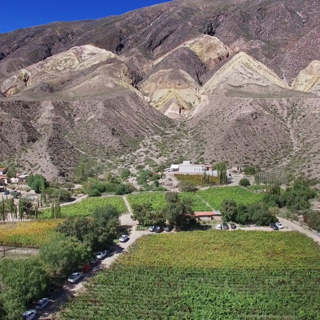 LAS SALINAS_bodegas6