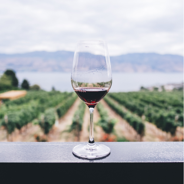LAS SALINAS_bodegas7