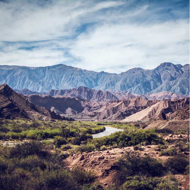 LAS SALINAS_hornocal3