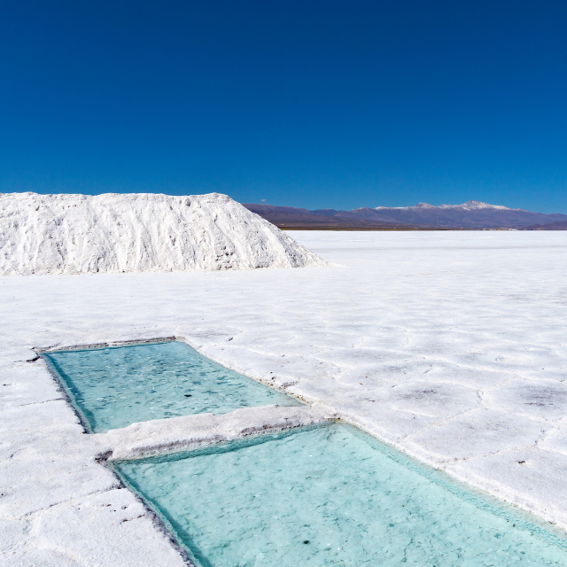 LAS SALINAS_receptivo1