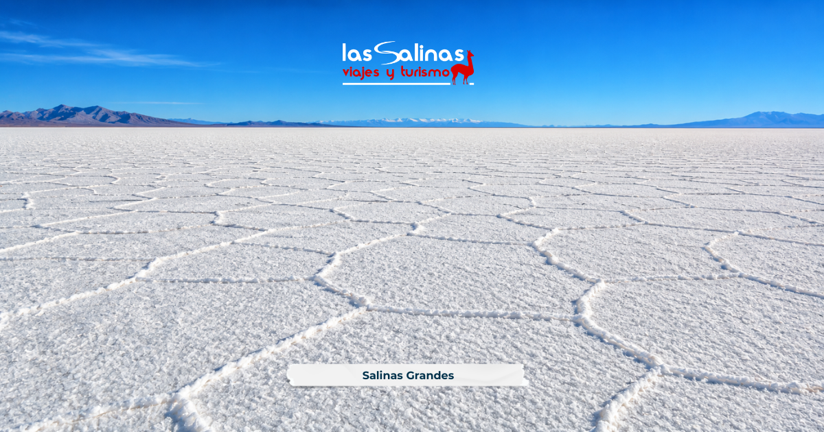 Salinas Grandes en invierno con cielo completamente despejado y montañas de la Puna jujeña al fondo durante una excursión turística organizada.